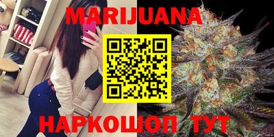 сатива Славгород