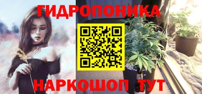 сатива Славгород