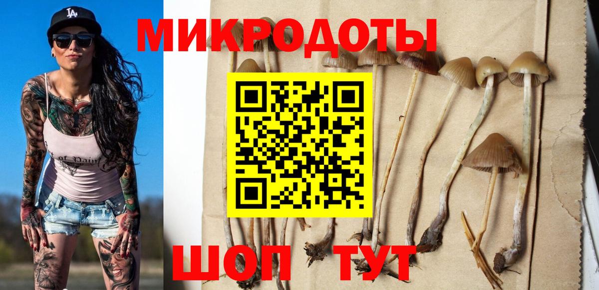 Псилоцибиновые грибы MAGIC MUSHROOMS  Вход с VPN  закладки  Санкт-Петербург 