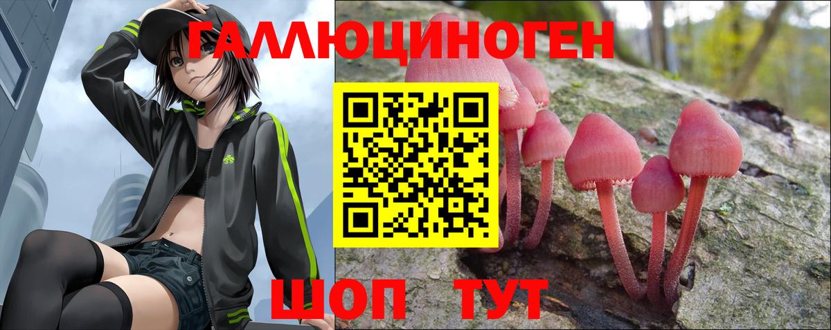 Псилоцибиновые грибы мухоморы Санкт-Петербург